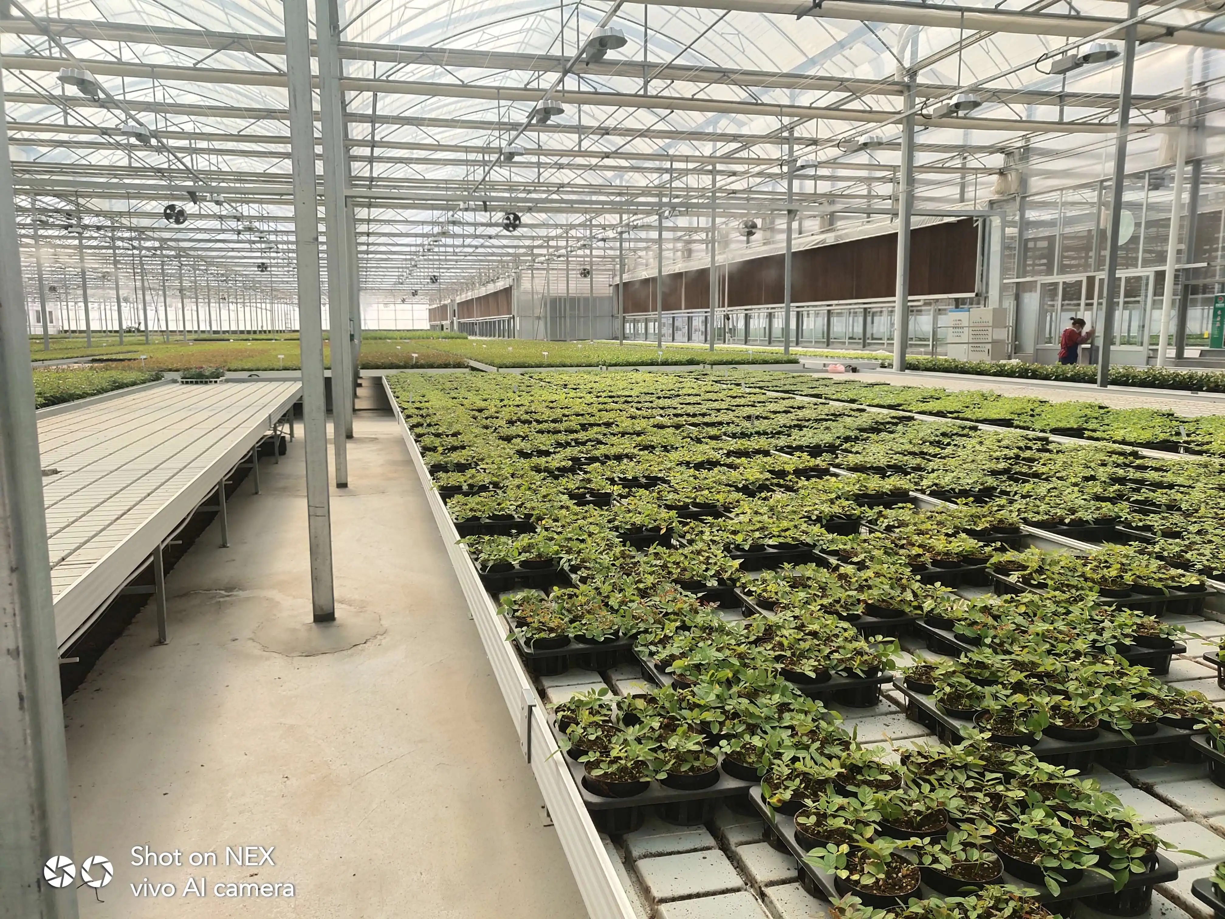 greenhouse benches