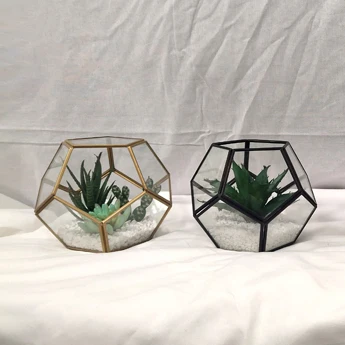 Genuine Wedding & Gifts Decoration Wall Table Centerpiece Dried Backdrop Suppliesold Supplies White Flowers