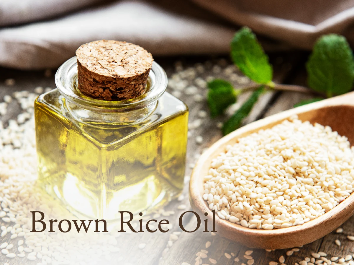 Good Quality Protein-Packed Fruit Granola Foods Product Cheese Flavor Granola Chips