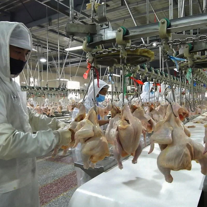 800BPH автоматического дополненного курицы, перепела гуся утка технологическая линия машинное оборудование из нержавеющей стали 304 пероощипывающая машина