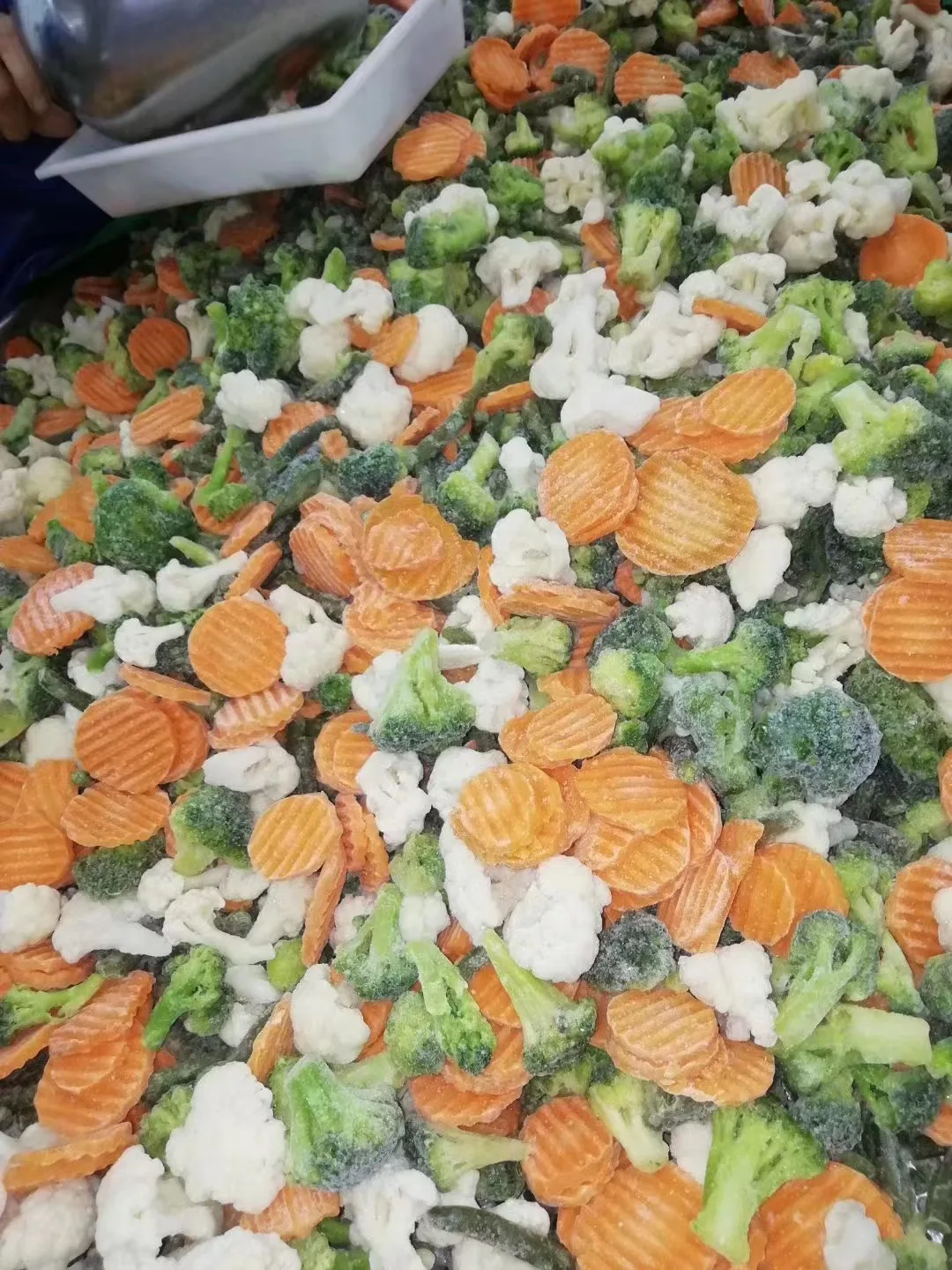 Factory Certified Quality Manufacture IQF Frozen Mixed Vegetables