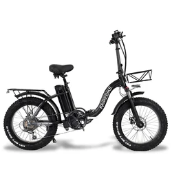 48v 54v 500w 1000w 750w rear carrage lithium battery ebike factory foldable electric bike