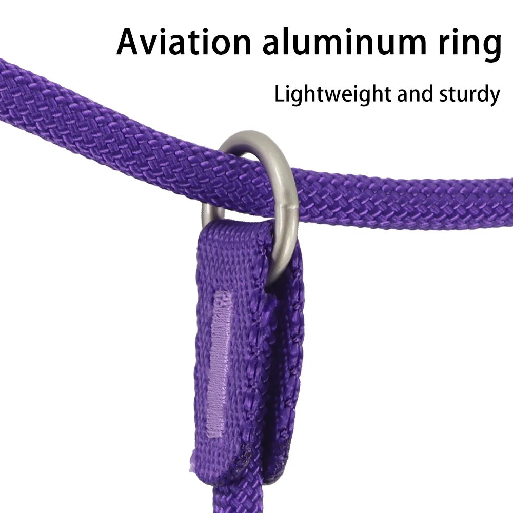 Medium Large Dogs No Pull Training Rope Dog Collar Leash Anti-Choking Slip Lead Functional Slip Lead Nylon Rope Style for Dog