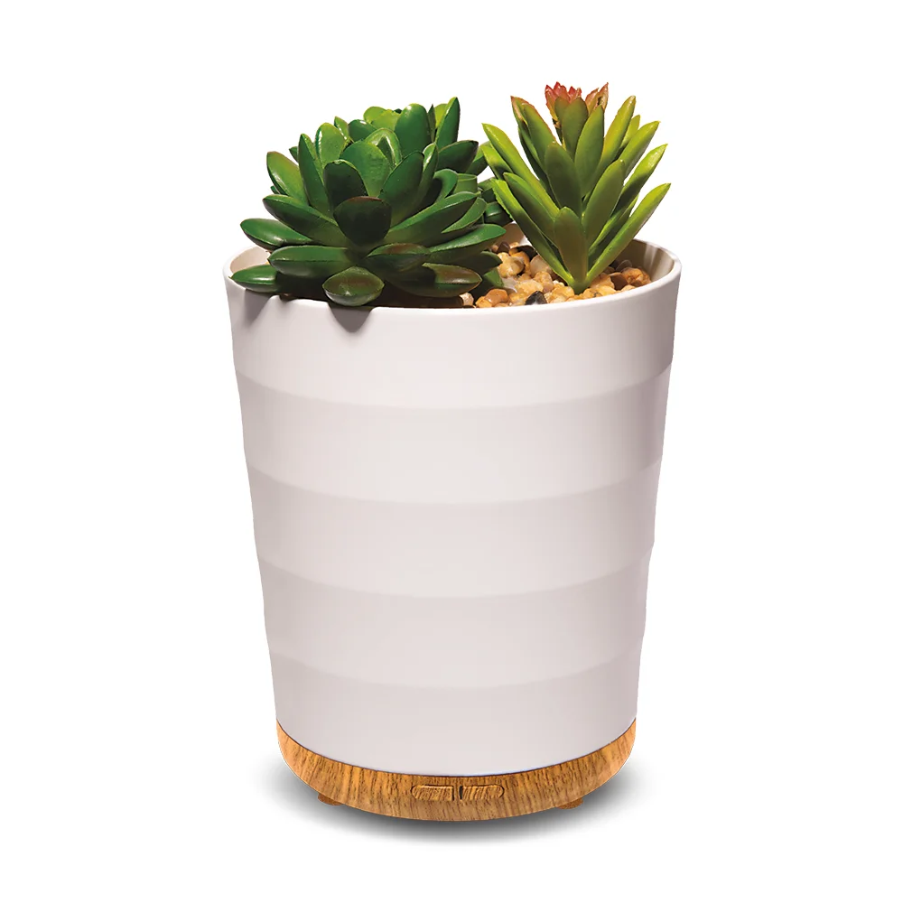 Wholesale Potted Succulent  household 100ml USB Aroma Oil Diffuser