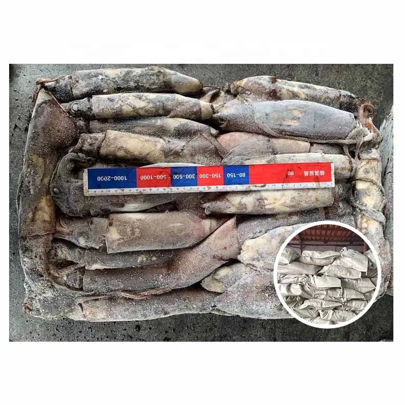 Offer Popular Size Seafrozen Calamari  Woven bag Packing 300-500g Frozen Indian Ocean Squid