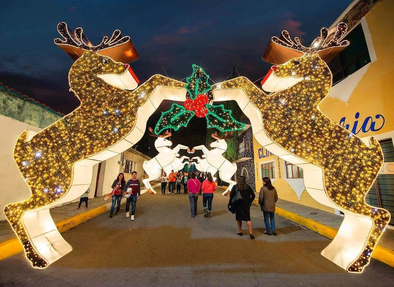 Outdoor Christmas Animated Decorations 2D 3D LED Street Motif Bear Deer Butterfly Lighted Arch For Street Zoo Park Light Show
