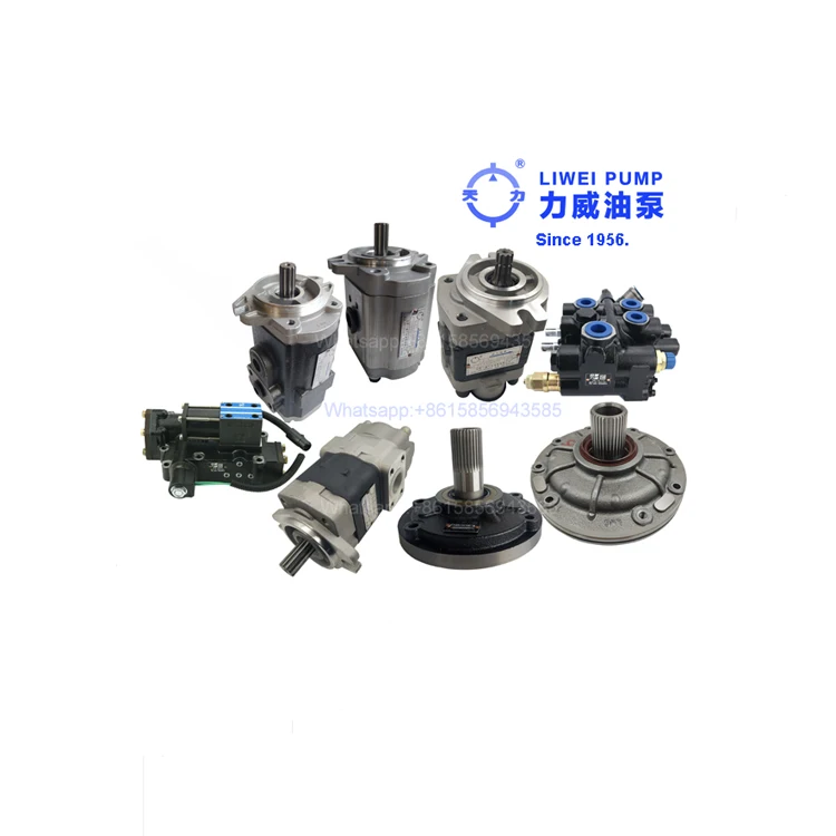 Since 1956 Forklift Spare Parts Hydraulic Pump for Nichiyun FB25P 31870-01510