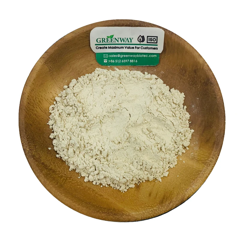 High Quality Hydrogenated Food Grade Soy Lecithin Powder