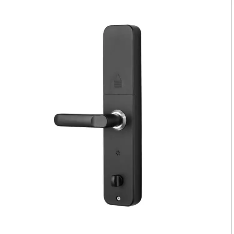 High Quality Keyless Electronic Tuya Wifi App Ttlock Biometric Fingerprint Password Digital Smart Lock For Home