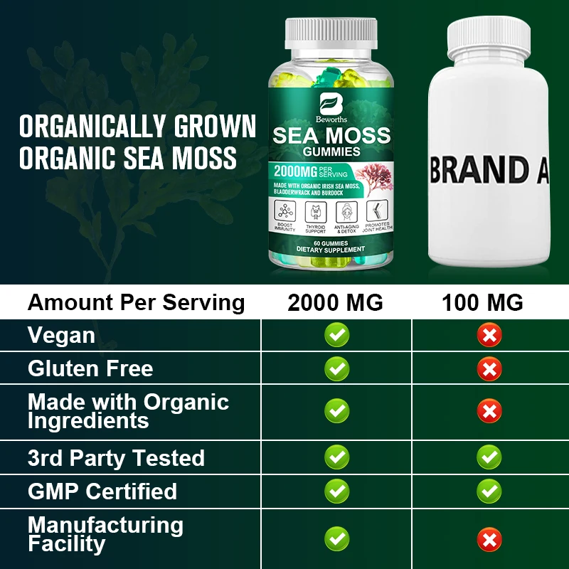 Factory Wholesale 60 Counts Natural Irish Sea Moss and Bladderwrack with Burdock Gummy Organic Sea Moss Gummies