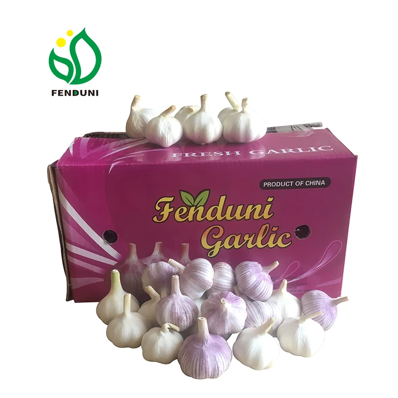 Shandong 2024 new crop China/Chinese garlic garlic wholesaler fresh garlic4.5- 6.5cm
