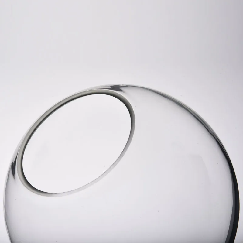 Hanging Round Clear Glass Ball Lamp Shade Globe Pendant Light