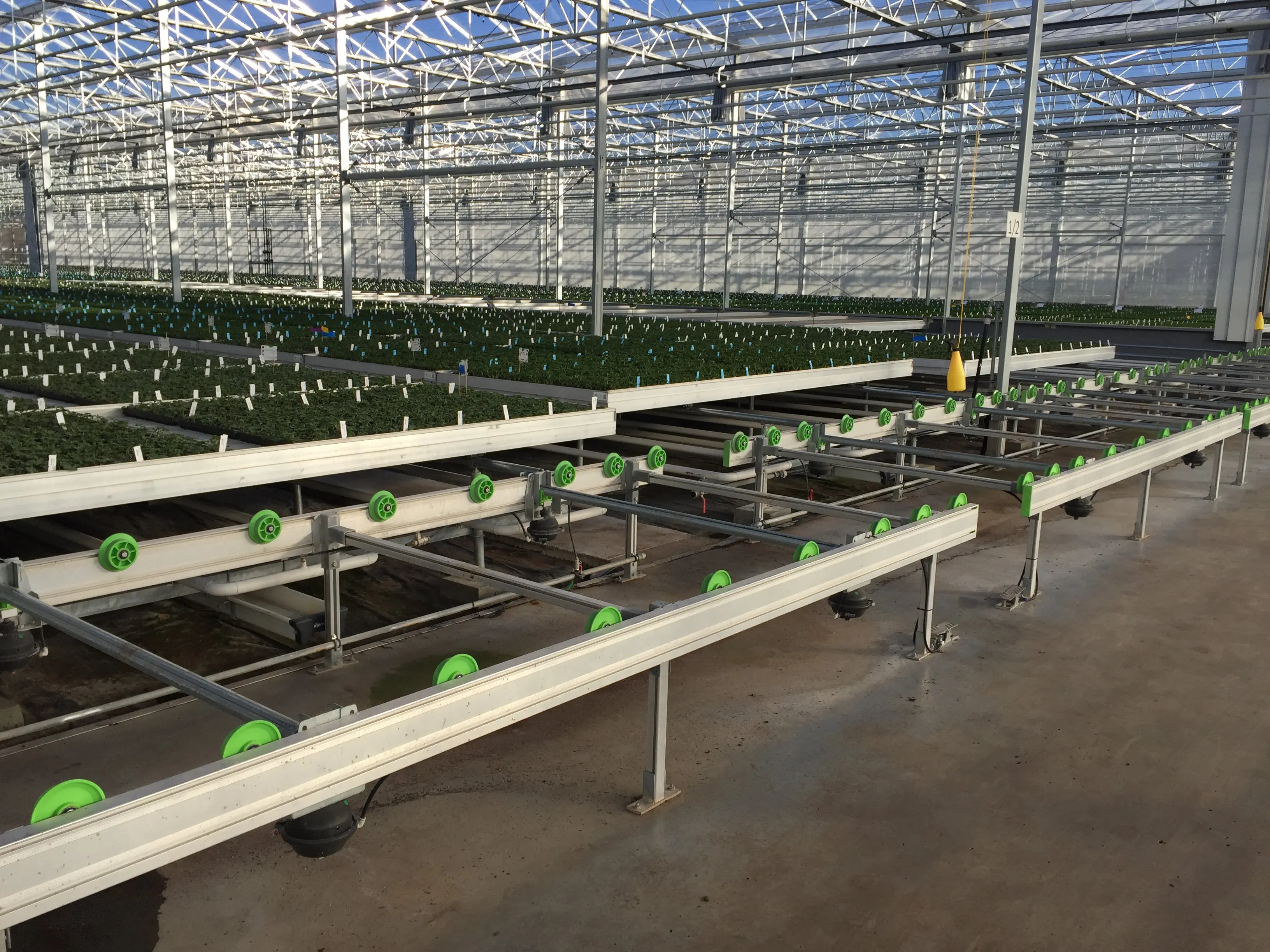 Hot Selling Mobile Hydroponic Nursery Removable Pallet Logistics Nursery Bench