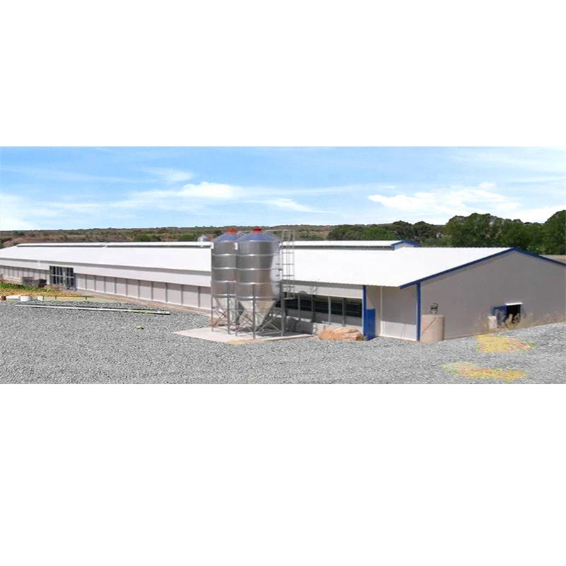 Industrial Chicken Coop House for Broiler/Layer Steel Chicken House