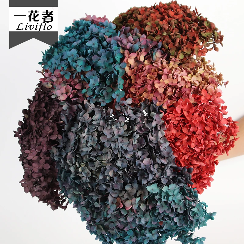 DIY Material Immortal Preserved Fresh Anna hydrangea Flower the Colorful Forever Lasting hydrangea With branches