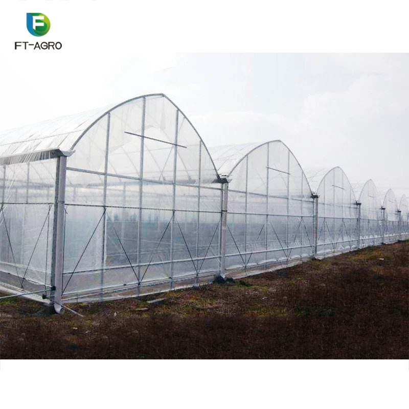 
Multi-span large agricultural plastic film Greenhouse project tomato greenhouse with hydroponic system 