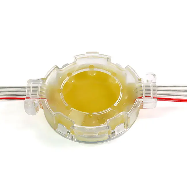 Amusement Ip65 50Mm Addressable Smd5050 Pixel Waterproof Rgb Module 24V Led Point Lights