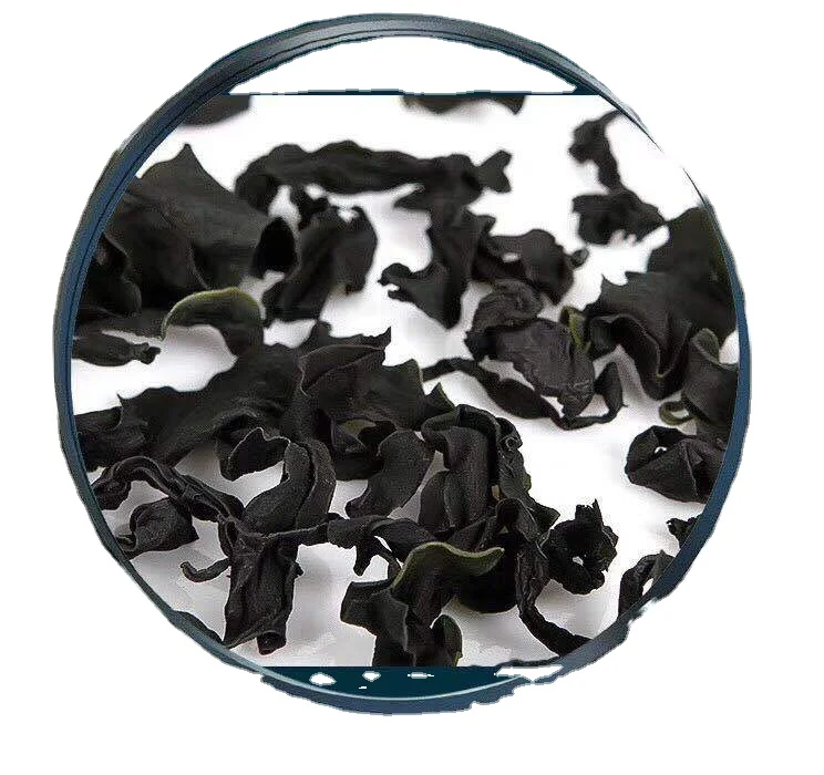Wholesale extract Dark Green sushi Undaria Pinnatifida sargassum Organic seaweed Dried Fresh Seaweed