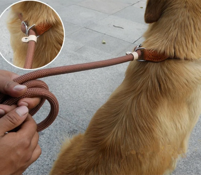 Riot-proof p-chain traction nylon stitched leather pet dog paracord training hands free dog leash