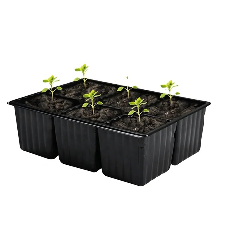 6 Cells PE Plastic Plug Seed Starting Grow Germination Tray for Greenhouse Vegetables Nursery