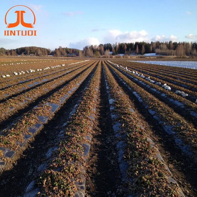 Factory supplier agricultural garden plants use degradable polyethylene film plastic mulch film