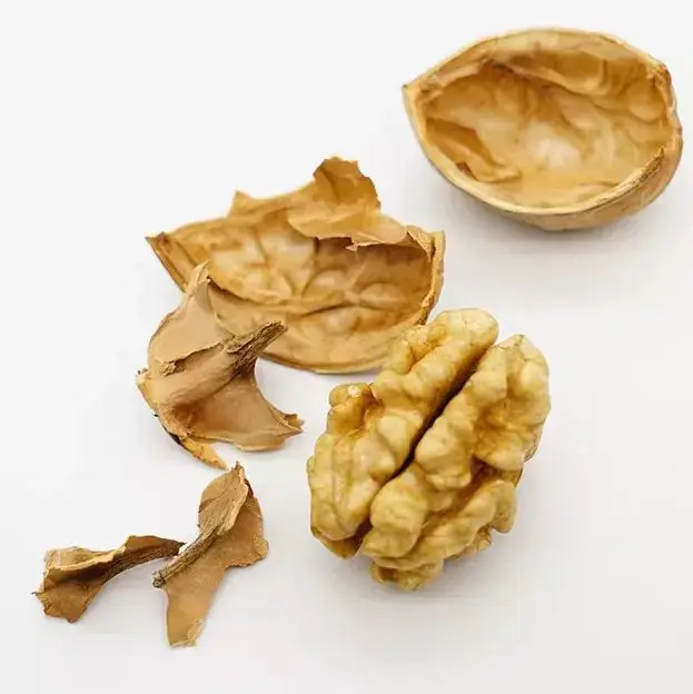 Wholesale Walnut kernel supplier Xinjiang Nutrition Walnut Kernels vacuum Bag Without shell walnut kernels