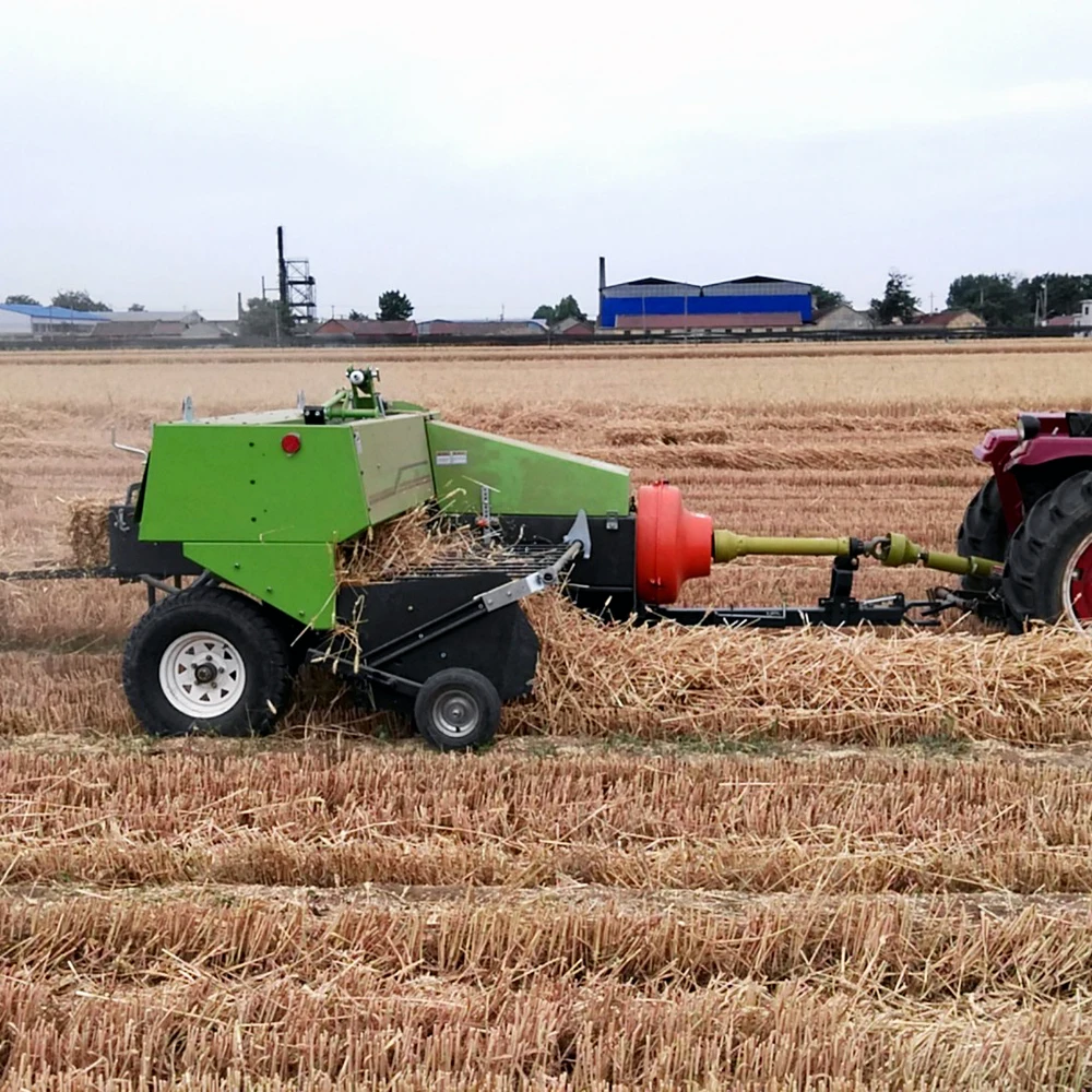 IMG_20160612_101945 - .jpg