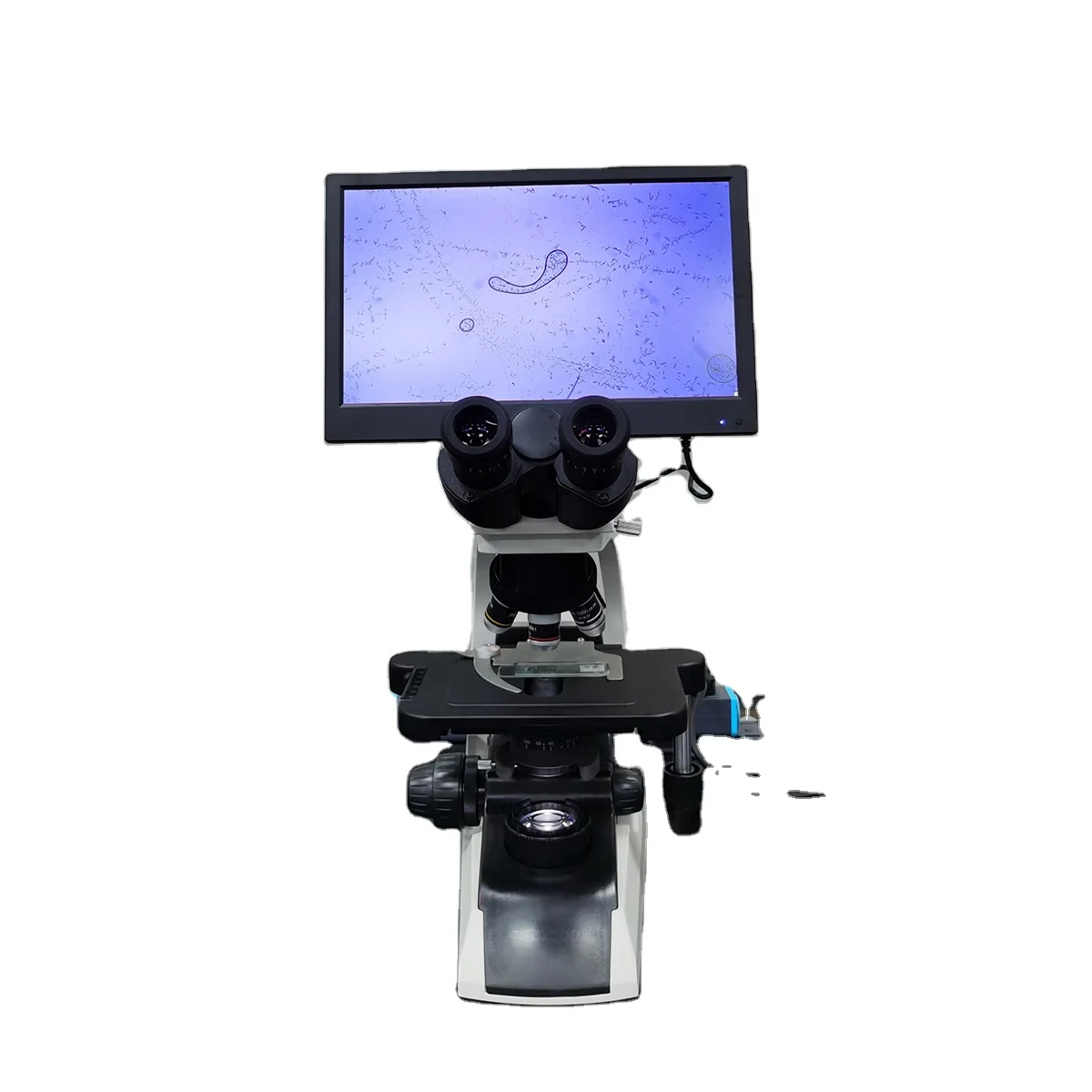 SIN-DM700Microcirculation микроскоп светодиодная подсветка 90 вращающийся левый и правый микроскоп микроциркуляции для лаборатории