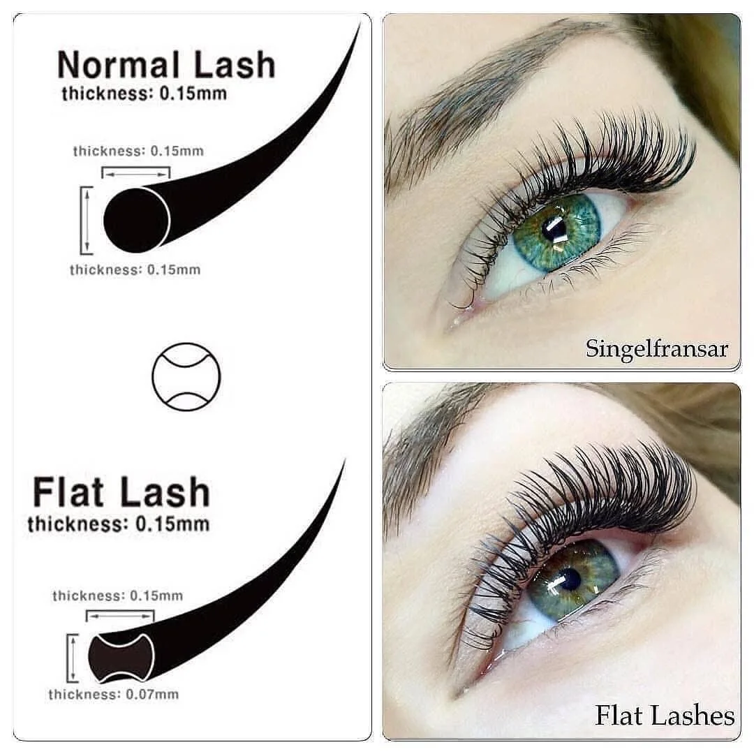 OEM Factory Eyelash Extension Private Label Custom Artificial Eyelash Ellipse Flat Shape False Lashes Black Korean PBT Fiber