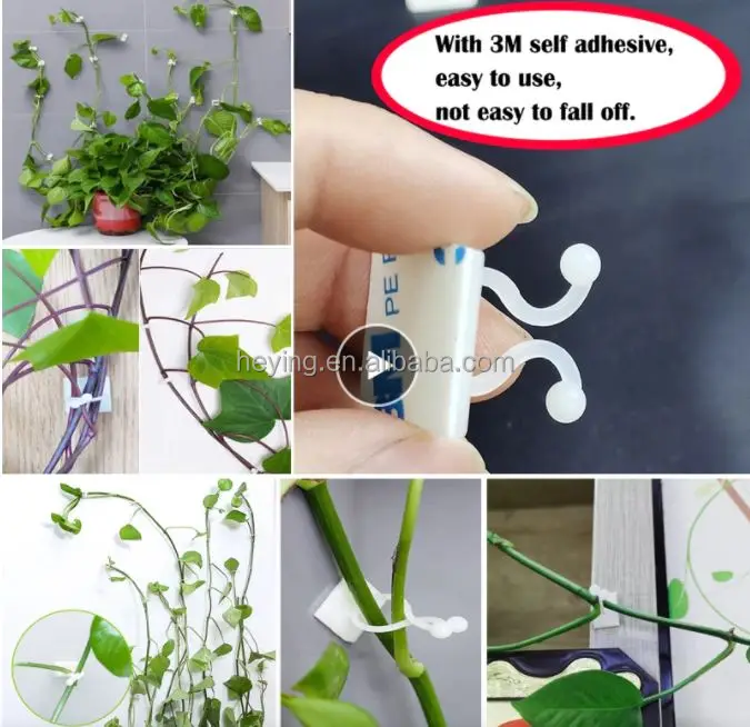 plant  organizer.jpg