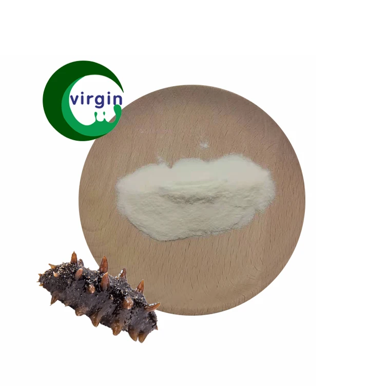 iSO factory Supply Sea cucumber peptide Sea cucumber peptide powder for Immunity Boosting