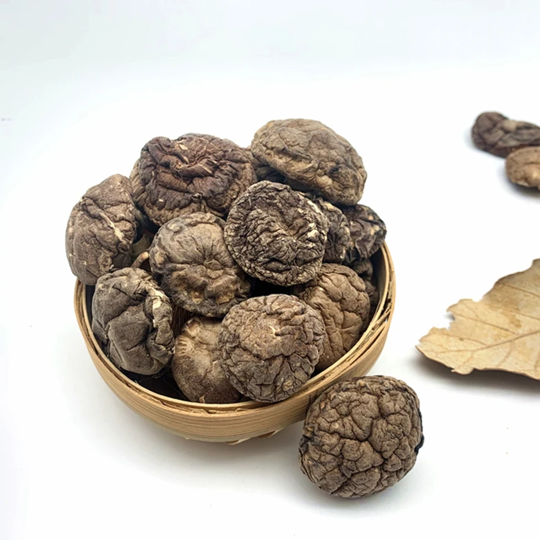 2021  Dried shiitake mushroom & shiitake mushroom cultivation (Lentinula Edodes)