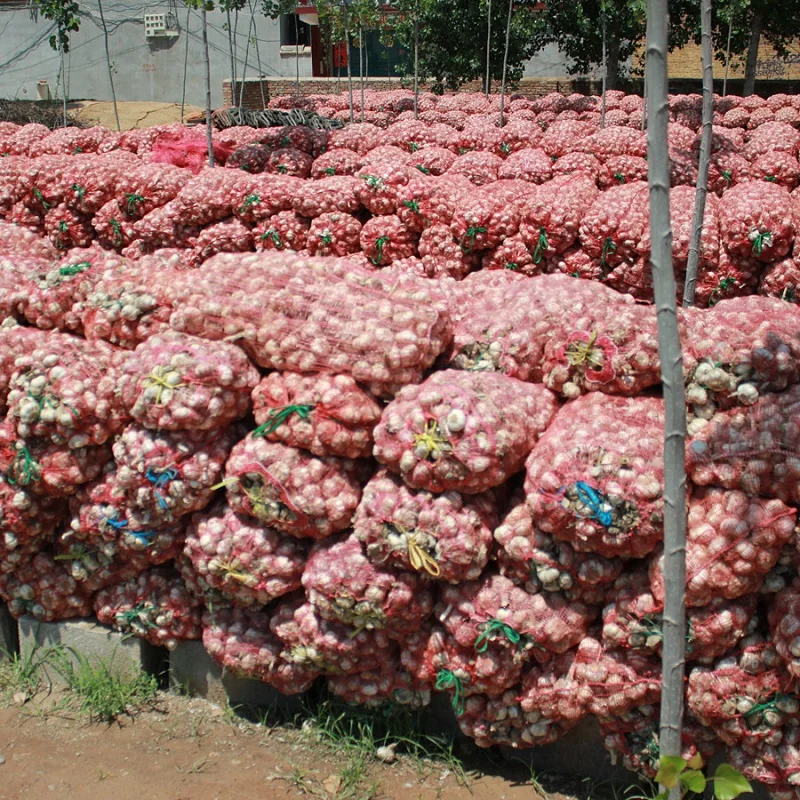 Factory Direct Hot Sale Pure White Normal White Fresh Garlic Normal Size 4.5 5.0 5.5 6.0cm