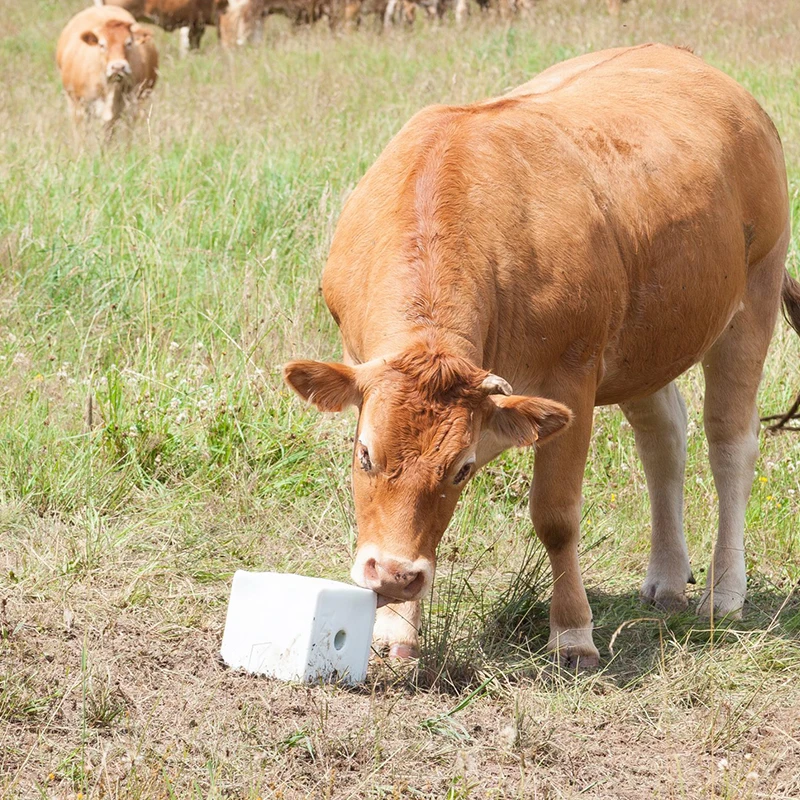 Organic Nutrition Mineral Salt Block for Livestock Farm Long Lasting Animal Licking Block for Cattle Horse Sheep Home Use