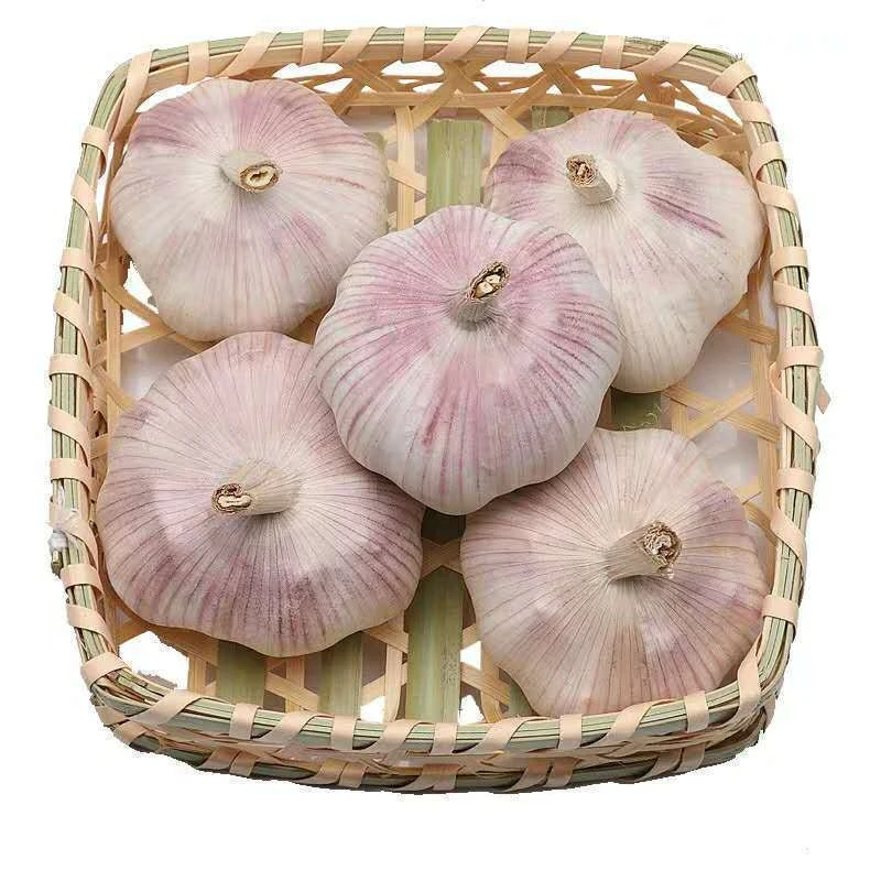 
Wholesale China New Crop White Ginger And 1kg Price Chinese Fresh Solo Garlic Cloves 