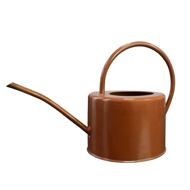 custom wholesale various colors galvanized steel metal 1L garden watering can