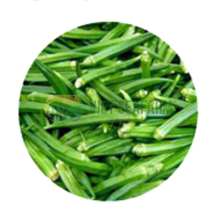 HOT HOT HOT!!! FROZEN LADY FINGER WITH BEST PRICE HIGH QUANTITY FOR EXPORTING FROM VIETNAM