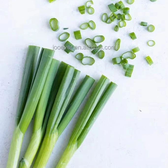 China HACCP BRC IQF Frozen Green Spring Onion cut