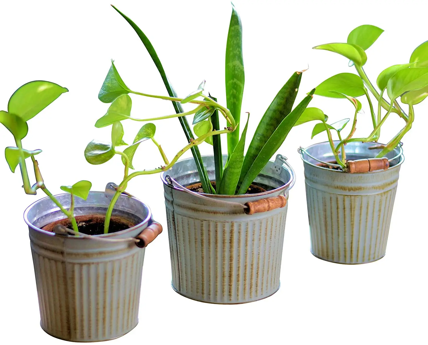 French Country Pails, Decorative Bucket Cache Pot Jardinieres, decorative bucket pails