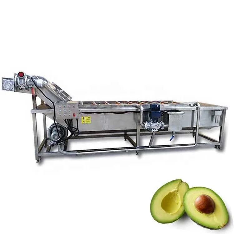 fruit and vegetable processing equipment avocado washing and sorting machine