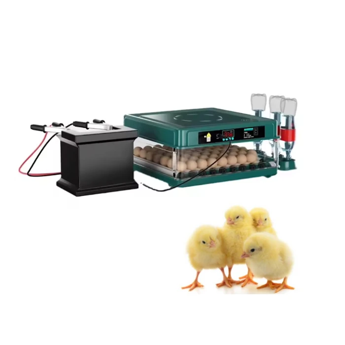Low price Cheap Small Egg Incubator Chicken Duck Goose Bird Egg Incubators