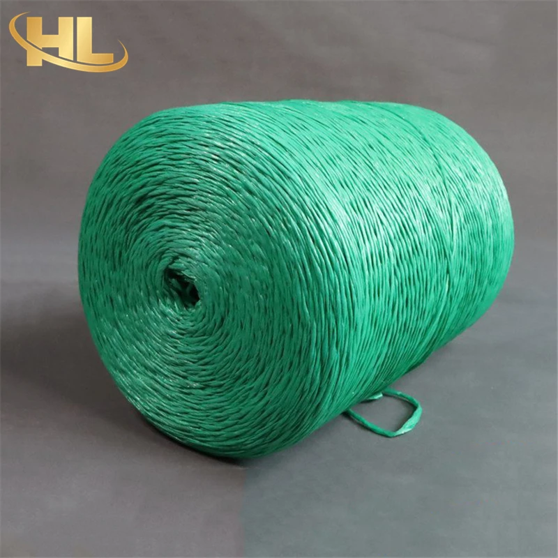 Wuxi Henglong OEM Wholesale UV Treated Agro Greenhouse Horticulture Vegetable Fruit Plastic PP Poly Tying Twine