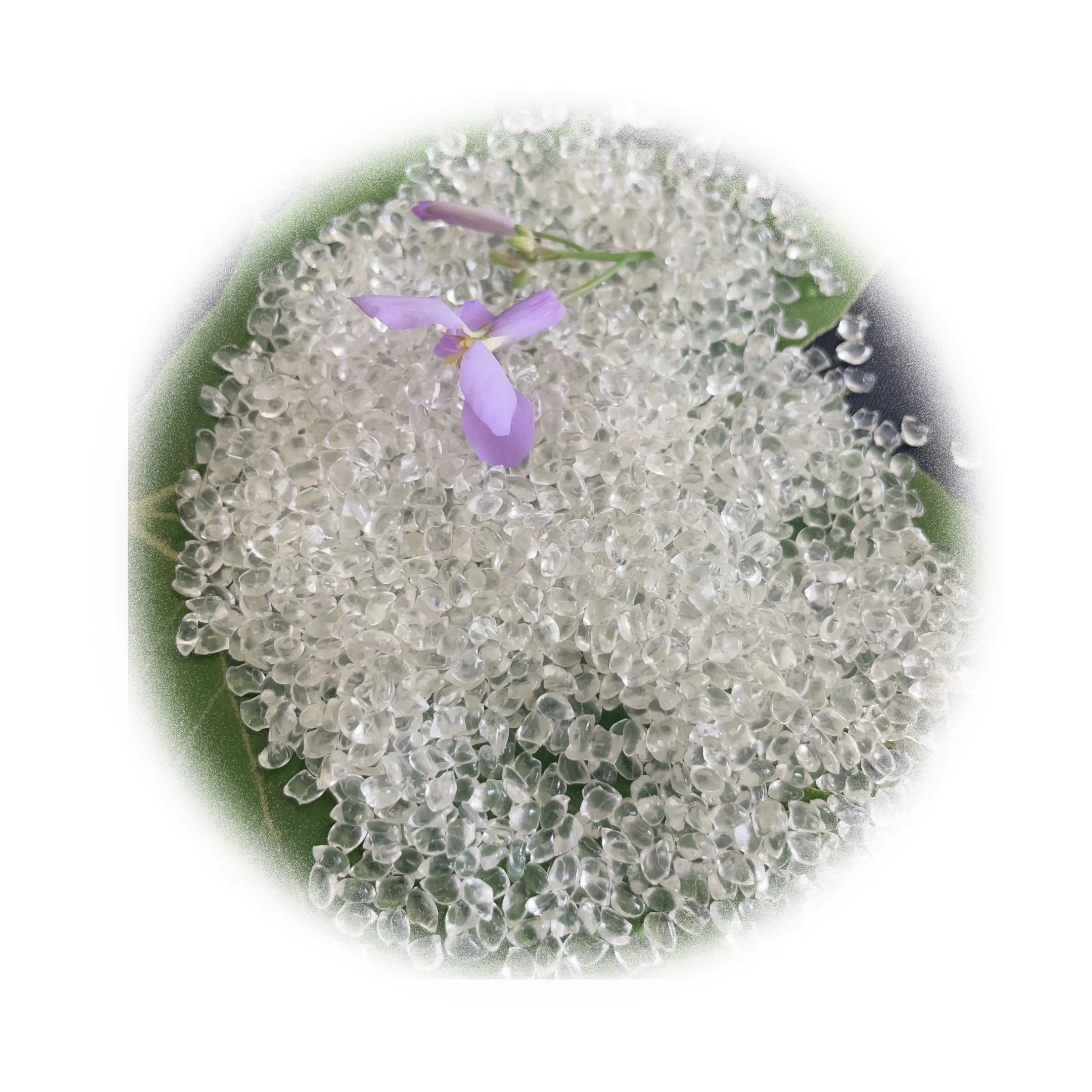 Wholesale Price Of Attractive Quality Direct Manufacture Virgin Pom Resin Granules Pom M90-44 Polyoxymethylene Pom