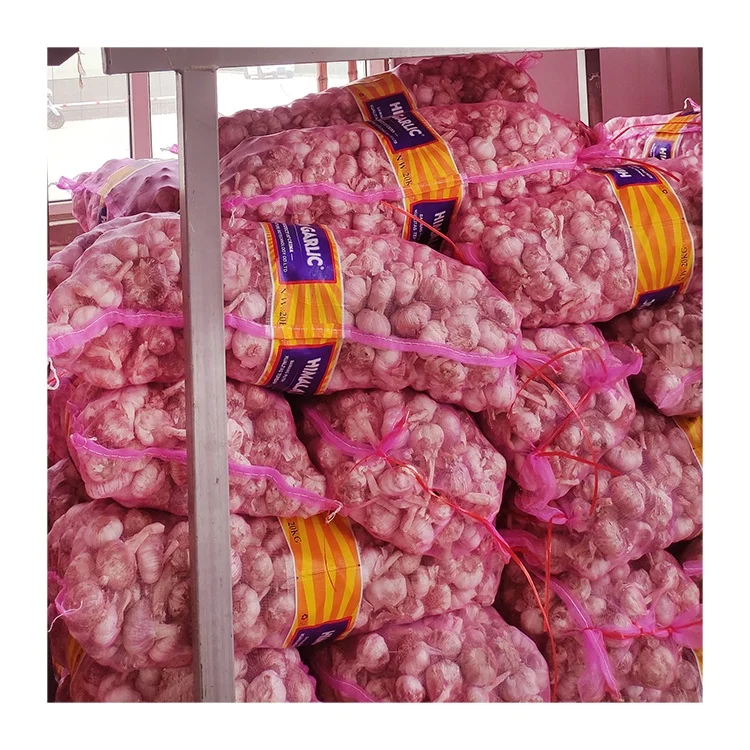 Chinese red garlic best price 20kg mesh bag wholesale fresh normal white garlic bawang putih