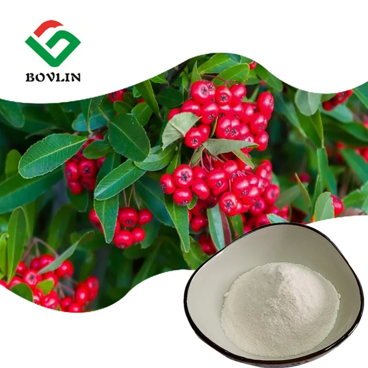 Заводская цена 99% альфа-арбутин чистый порошок