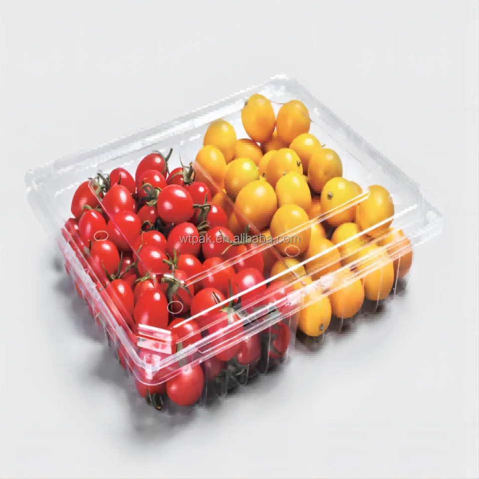 New Designed 1kg Plastic Transparent Fruit Packaging Clamshell with Dual Cell
