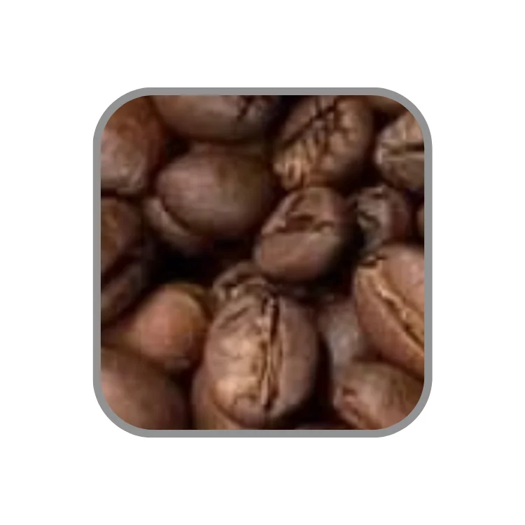 Roasted Arabica Reasonable Price High Quality Ground Coffee Organic Coffee Oem Service Vietnamese Coffee Beans Manufacturer