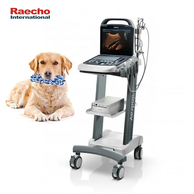 Hot Selling Mindray DP10 Vet Ultrasound Machine Ultrasound Scanner for Veterinary