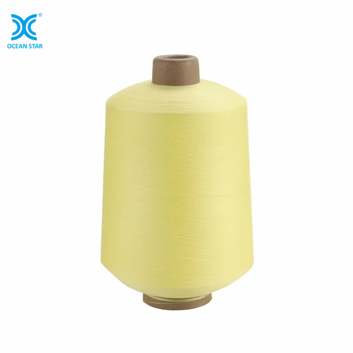 biobased dty nylon yarns high tenacity Nylon yarn DTY 40D/14F FD for textile yarn