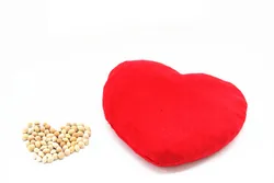 cherry stone seed filler pillow